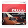 imageDAddario Guitar Strings  Acoustic Guitar Strings  Flat Tops Phosphor Bronze  For 6 String Guitar  Warm SemiBright Tone  EFT16  Light 1253Pack of 2