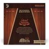 imageDAddario Guitar Strings  Acoustic Guitar Strings  Nickel Bronze  For 6 String Guitar  Natural Clear ampamp Focused Tone  NB1253  Light 1253Medium  1356