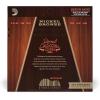 imageDAddario Guitar Strings  Acoustic Guitar Strings  Nickel Bronze  For 6 String Guitar  Natural Clear ampamp Focused Tone  NB1253  Light 1253Medium Balance Tension  0135056