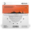 imageDAddario Guitar Strings  Phosphor Bronze Acoustic Guitar Strings  EJ163D  Rich Full Tonal Spectrum  For 6 String Guitars  1253 Light 3Pack1Pack