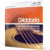 imageDAddario Guitar Strings  Phosphor Bronze Acoustic Guitar Strings  EJ163D  Rich Full Tonal Spectrum  For 6 String Guitars  1253 Light 3Pack1Pack