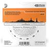 imageDAddario Guitar Strings  Phosphor Bronze Acoustic Guitar Strings  EJ163D  Rich Full Tonal Spectrum  For 6 String Guitars  1253 Light 3Pack3Pack