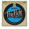 imageDAddario Guitar Strings  ProArte Classical Guitar Strings  EJ45LP  Nylon Guitar Strings  Silver Plated Wrap Composite Core Clear Nylon Trebles  Lightly Polished Normal TensionHard Tension