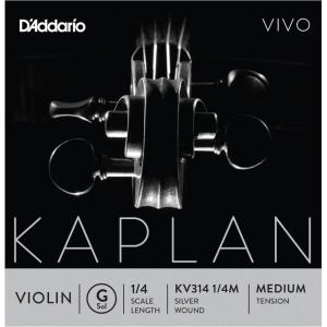 imageDAddario Kaplan Vivo Violin String  Single D String  KV313 14M  Violin Strings  14 Scale Medium TensionG String