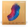 imageDAddario Ascente Violin Strings  Violin Strings with Ball Ends Synthetic Core  A310 44M  Full Set  44 Scale  Medium Tension116 Scale