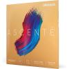 imageDAddario Ascente Violin Strings  Violin Strings with Ball Ends Synthetic Core  A310 44M  Full Set  44 Scale  Medium Tension116 Scale
