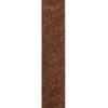 imageDAddario Accessories Planet Waves 20SD06 2Inch Suede Embossed  BlackBrown