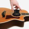 imageDAddario Guitar Humidifier  Acoustic Guitar Soundhole Humidifier with Sponge  Non Drip  Suspends from StringsHumidifier