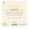 imageDAddario Mandolin Strings Phosphor Bronze EJ74 Medium Gauge 1140 8String Set Pack of 1Medium  1140