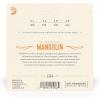 imageDAddario Mandolin Strings Phosphor Bronze EJ74 Medium Gauge 1140 8String Set Pack of 1Medium  1140
