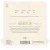 imageDAddario Mandolin Strings Phosphor Bronze EJ74 Medium Gauge 1140 8String Set Pack of 1MediumHeavy  11541
