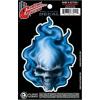 imageDAddario Accessories Planet Waves Guitar Tattoo Blue Flame Skull