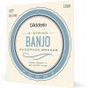 imageDAddario Banjo Strings NickelPlated Steel EJ60 Light Gauge 920 5String Set Pack of 1920