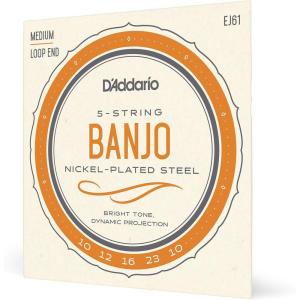 imageDAddario Banjo Strings NickelPlated Steel EJ60 Light Gauge 920 5String Set Pack of 11023
