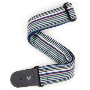 imageDAddario 20 Gtr Stp Ltn Tiles T20S1503Latin Stripes