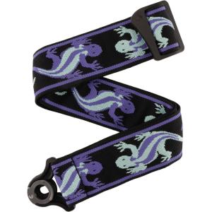 imageDAddario Auto Lock Guitar Strap  Acoustic ampamp Electric Guitar AccessoriesGreenBlue
