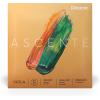 imageDAddario Ascent Viola Strings  A410 LM  Medium Tension  Full Set  Long ScaleShort Scale