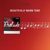imageDAddario Prelude Viola Single G String Medium Scale Medium TensionC String